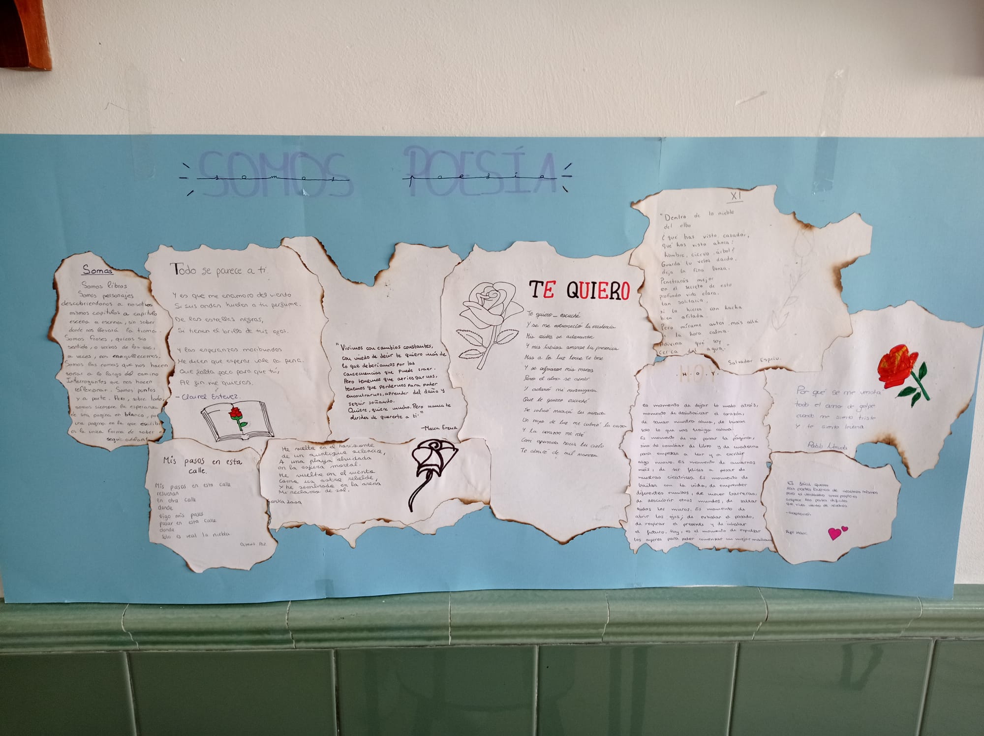 WhatsApp Image 2021-04-26 at 10.15.04