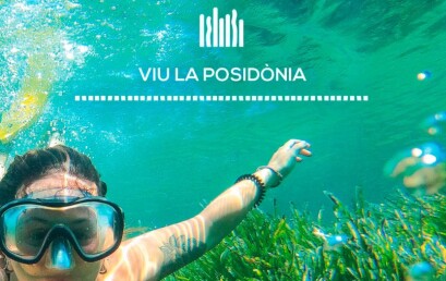 Posidonia Power Kids